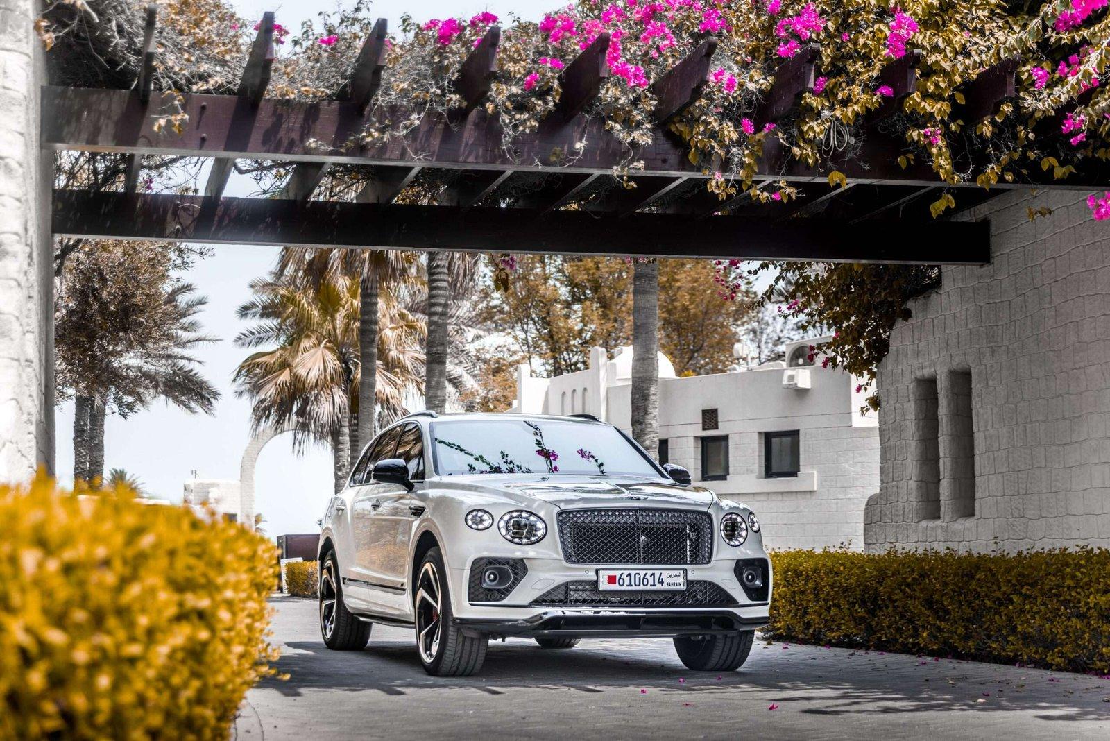Bentley — Bougainvillea