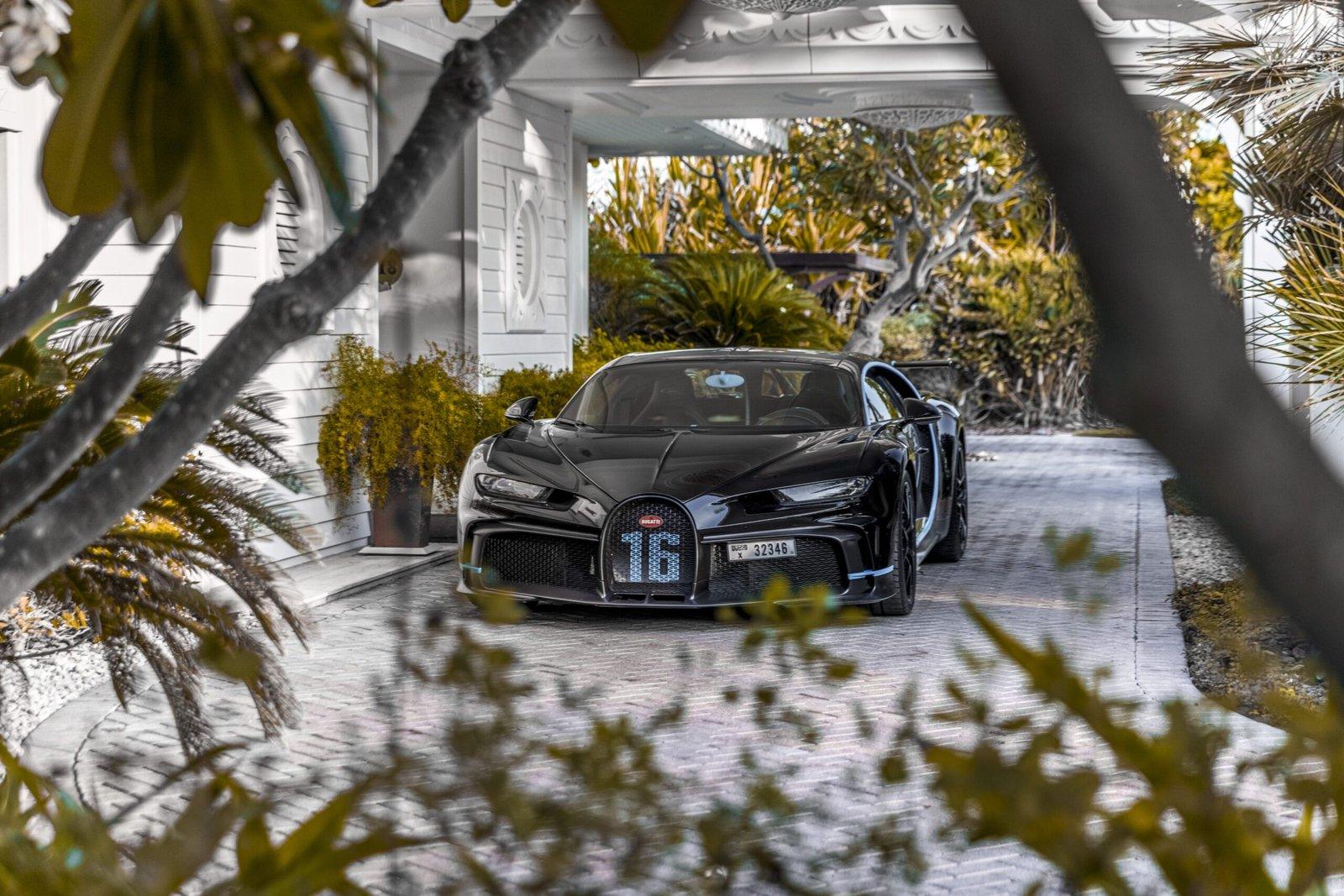 Bugatti Pur Sport — Through the leaves